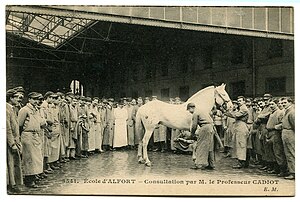 Enseignement Agricole En France