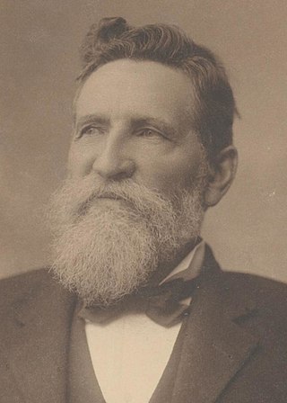 <span class="mw-page-title-main">Allan McLean (Australian politician)</span> Australian politician (1840–1911)