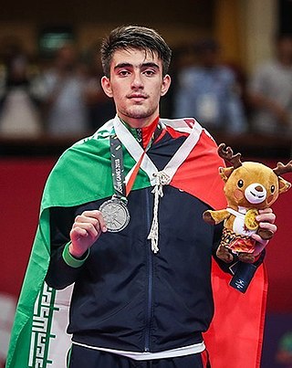 <span class="mw-page-title-main">Amir Mohammad Bakhshi</span> Iranian taekwondo practitioner