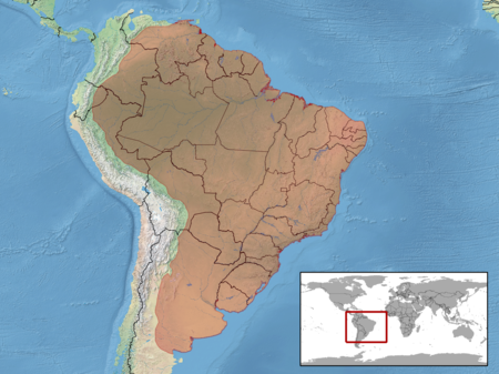 Amphisbaena alba distribution.png