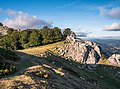 * Nomination Beeches (Fagus sylvatica) in the Arangio mountain range. Álava, Basque Country, Spain --Basotxerri 18:37, 1 February 2018 (UTC) * Promotion Good quality. --Jacek Halicki 18:53, 1 February 2018 (UTC)