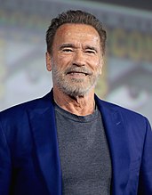A photograph of Arnold Schwarzenegger