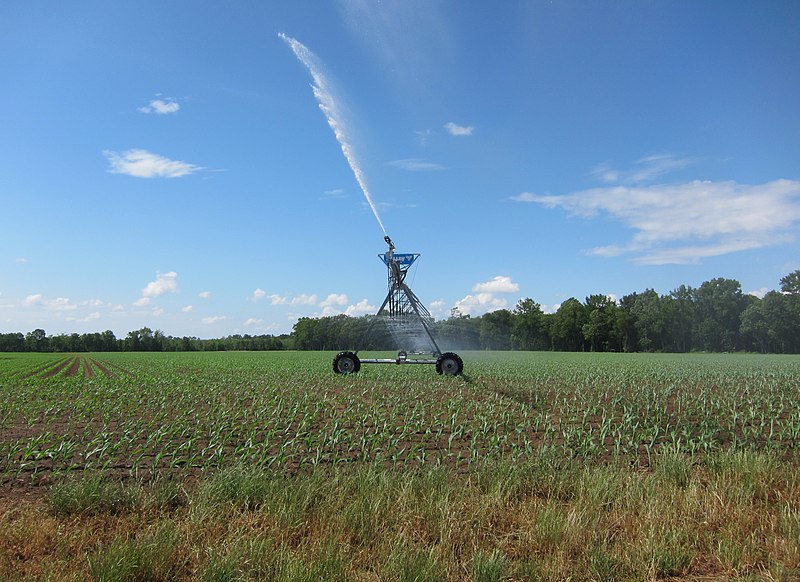 File:Automatic Watering - panoramio.jpg