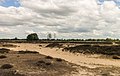 Balloërveld, natuurgebied in Drenthe.