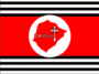 Bandeira caucaia ce.png