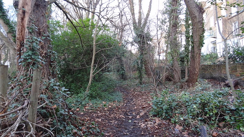 File:Barnsbury Wood 5.JPG