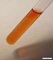 Basic bismuth gallate HM-tube NaOH substance photo.jpg