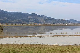 Illustrasjonsbilde av artikkelen Lake Bientina