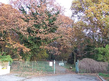 File:Biggin_Wood,_Norbury_(geograph_3229396).jpg