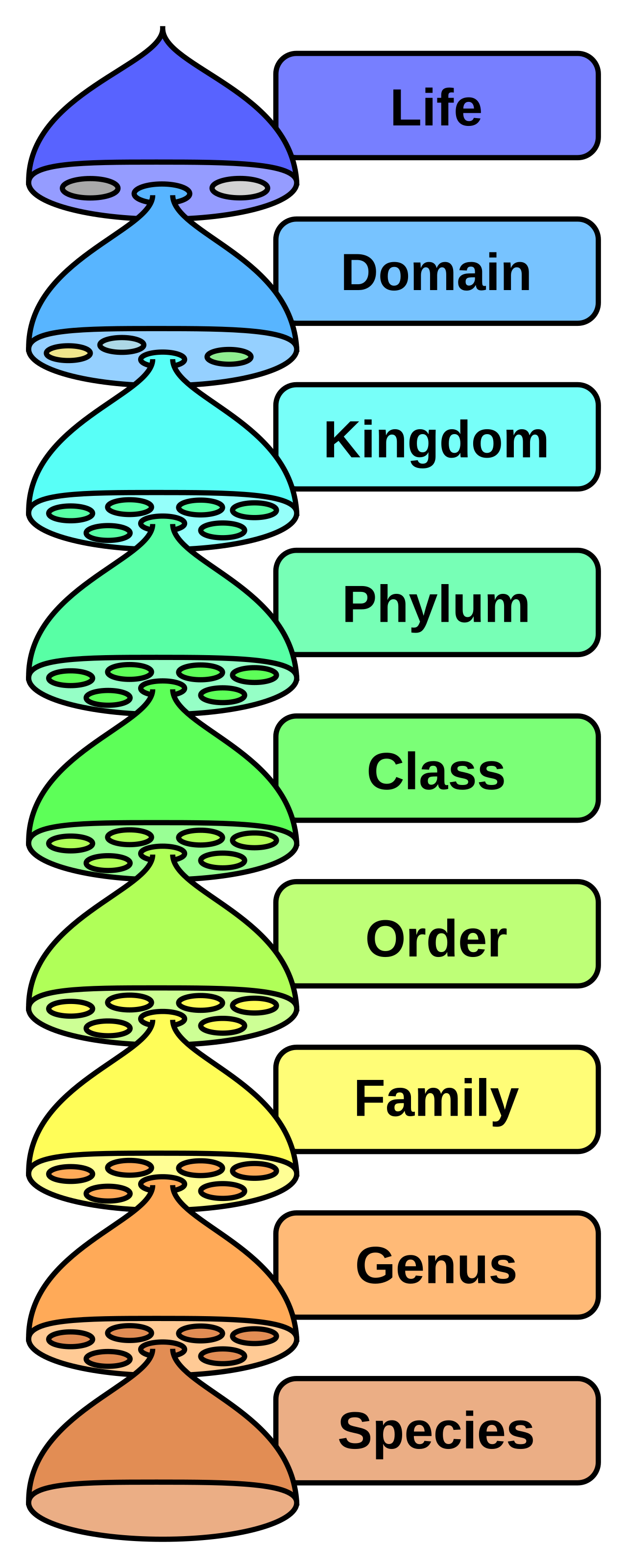 Classificação de informação - Diagrama taxonômico