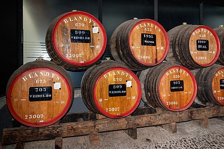 Barrels with different types of wine, Blandy's Wine Lodge Funchal Madeira