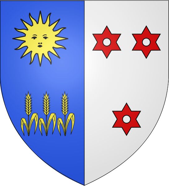 File:Blason famille fr Espic-Ginestet.svg