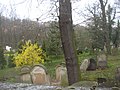 Jewish cemetery tombstones