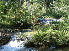 Blue Creek beim gleichnamigen Dorf. Ein Flusslauf mit türkisfarbenem Wasser unter tropischen Bäumen.