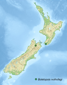 Neuseelandkarte mit grün eingezeichneten Fundstellen