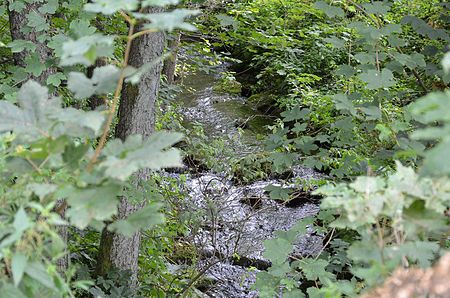 Brilon, Bremecketal, Bremecke Fluss (2)