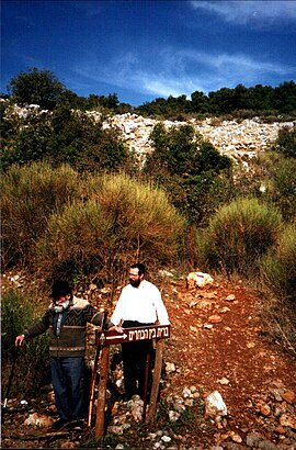 איך מגיעים באמצעות תחבורה ציבורית  להר הבתרים? - מידע על המקום