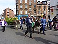 Les ânes mascottes Gribouille et Camille