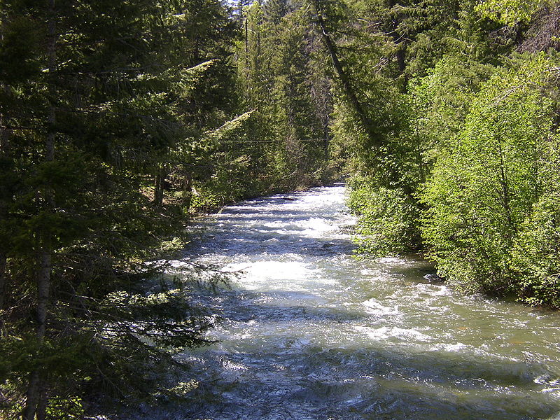 File:Bumping-River-May-2007.jpg