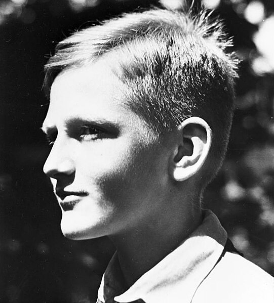 Datei:Bundesarchiv Bild 119-5592-03A, Porträt Hitler-Junge.jpg