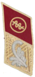 Federal Police Austria Collar Distinctions 2015 M4.png