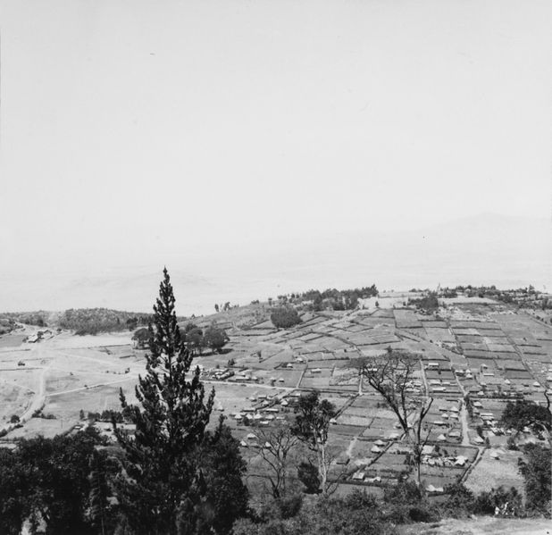 File:COLLECTIE TROPENMUSEUM Overzichtsopname van een landbouwgebied met kleine boerenbedrijven met op de achtergrond de Great Rift Valley TMnr 20014396.jpg