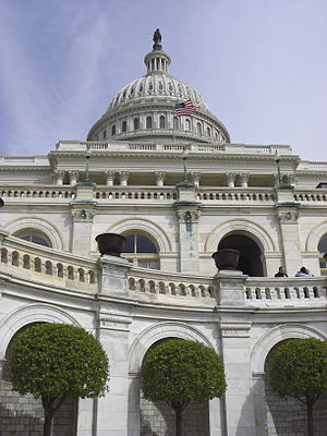 Capitolio De Los Estados Unidos: Historia, Propiedades del Capitolio, Rotonda del Capitolio