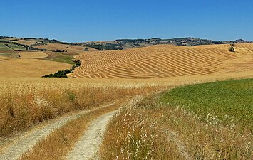 Val D'orcia