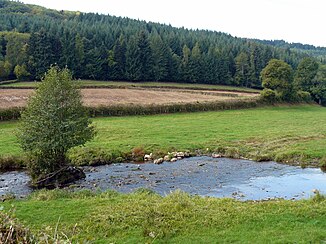 The river, here under the name Chaloire