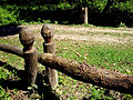 The entry to Chilapata Forests through a semi motorable road is guarded by this hand carved gate.