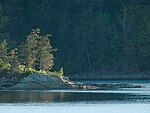 Chuckanut Bay