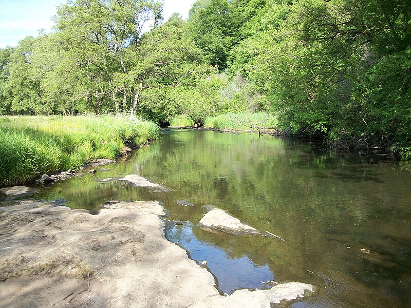 File:Cleghorn Glen 20 June 2010 (30).JPG