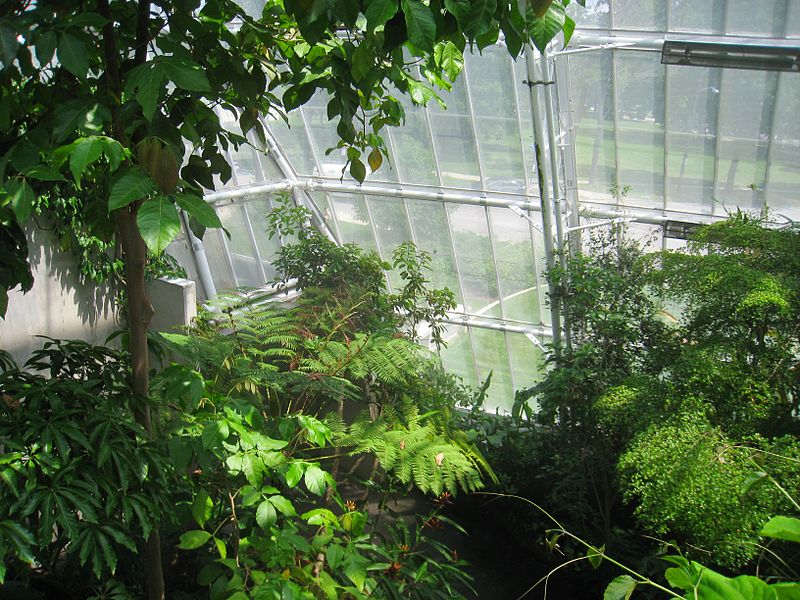 File:Cleveland Botanical Garden - interior 3.jpg