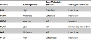 <span class="mw-page-title-main">PC3</span> Human prostate cancer cell line