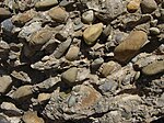 I ett konglomerat har de ingående stenarna fått en avrundad form genom vittringsprocesser.