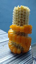 Corn spiral steps.jpg