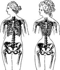 how COMMON tightlacing was is a different debate, and one i have no st