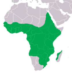 Distribución del cocodrilo del Nilo