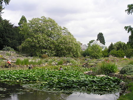 Cu botanic garden1