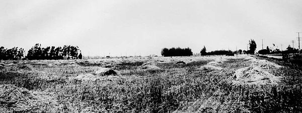 The site of Culver City, 1913