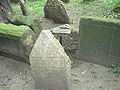 ‏Надгробие, на нём изображены магендавид по названию книги Ганса и гусь по смыслу немецкой фамилии.