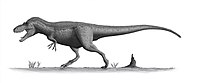 Däsinot ela Daspletosaurus.