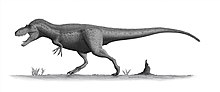 Miniatura para Daspletosaurus