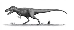 A Daspletosaurus rekonstrukciója