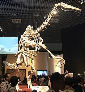 Скелет на выставке в Японии