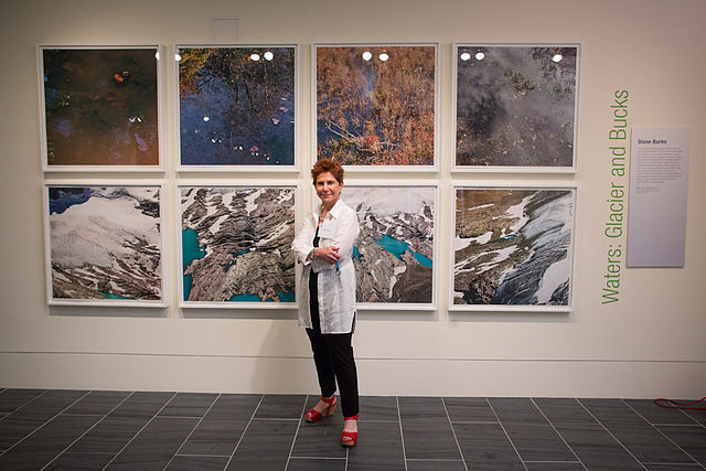 Diane Burko, Waters Glacier and Bucks, 2013