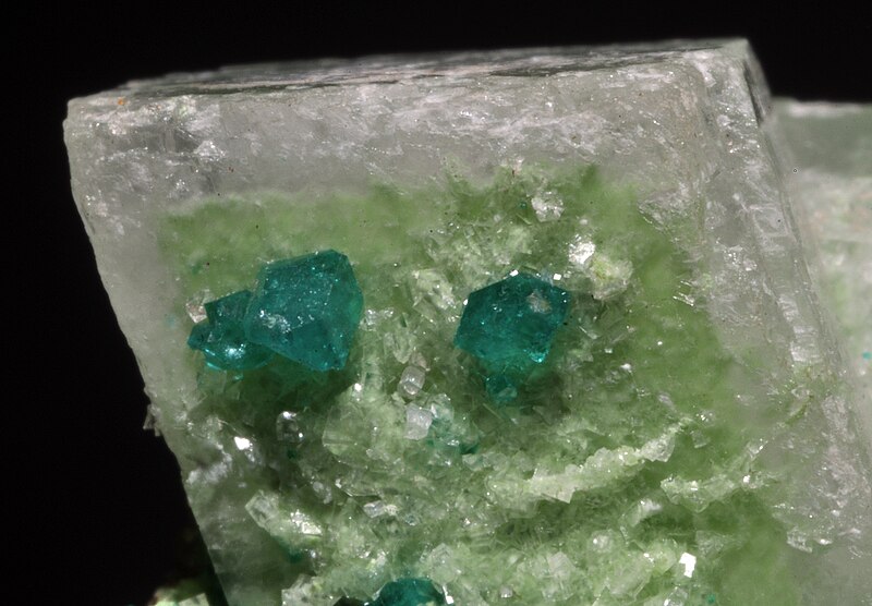 File:Dioptase sur calcite (Namibie).JPG