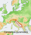 Distribution map Campanula pyramidalis.png