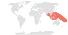 Разпространение на Laticauda colubrina.svg