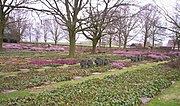 Thumbnail for Hooglede German war cemetery